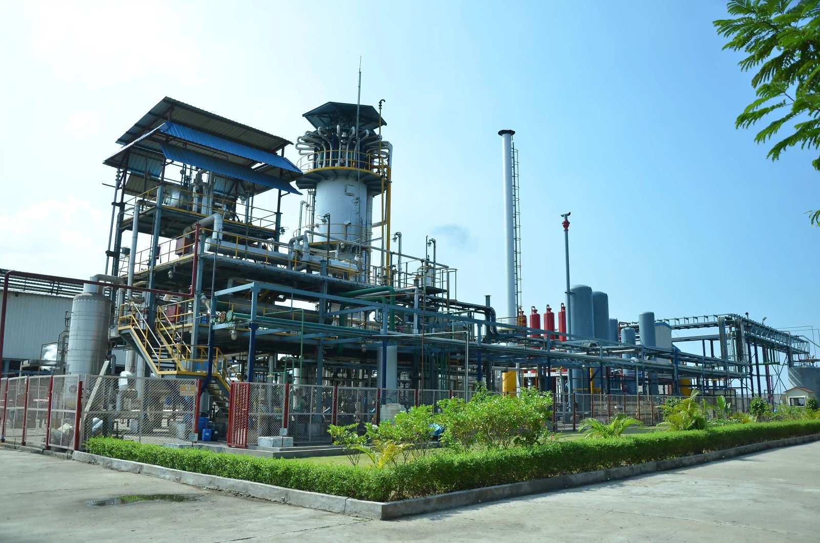 Industry background for AVIOR Consulting